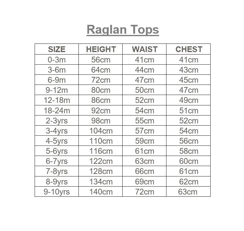 Long Sleeve Raglan Top - Sale